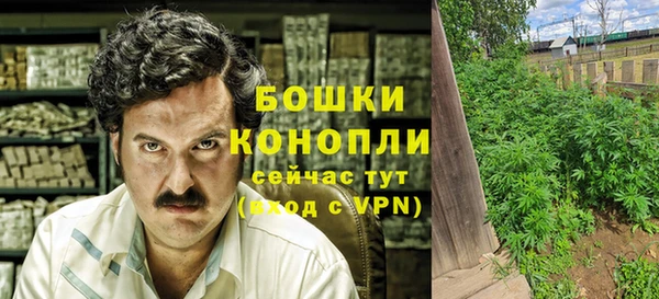индика Бронницы
