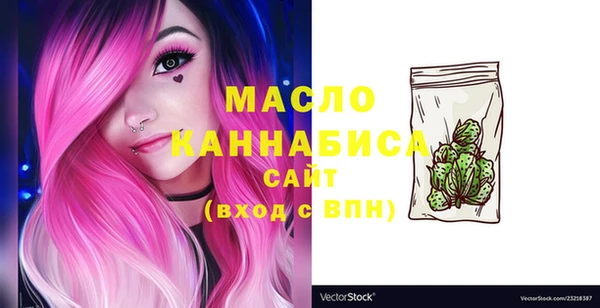 индика Бронницы