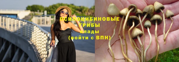 индика Бронницы
