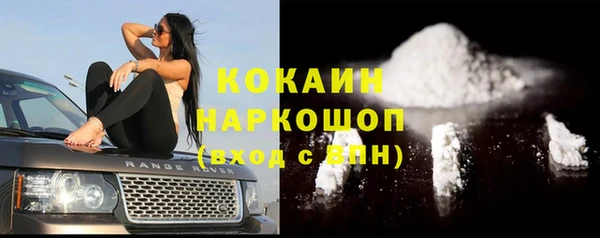 индика Бронницы
