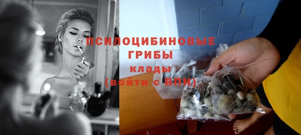 гашиш Бородино