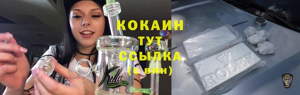 гашиш Бородино