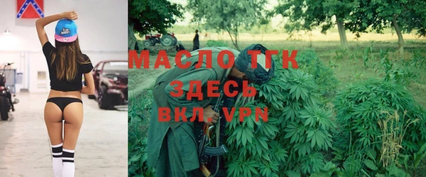 индика Бронницы