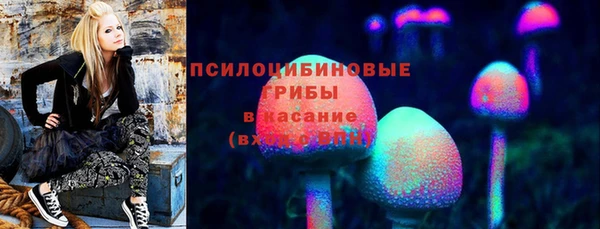 гашиш Бородино